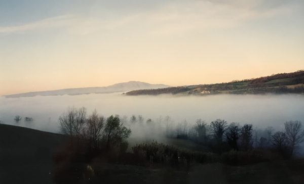 Morning fog