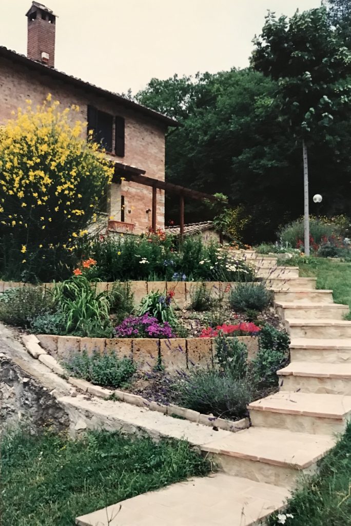 outdoor stairs with plants