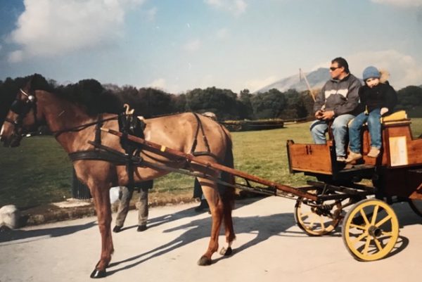 horse and carriage 