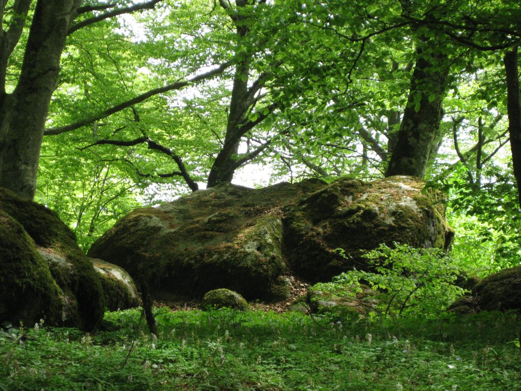 large rock
