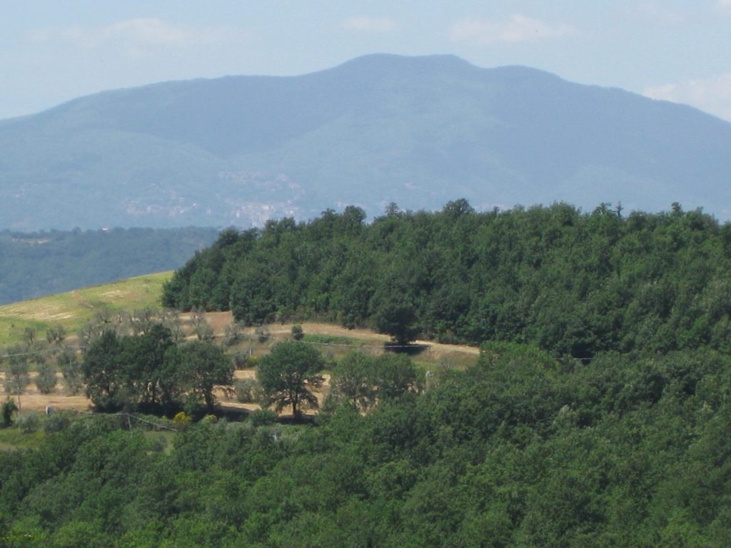 large mountain