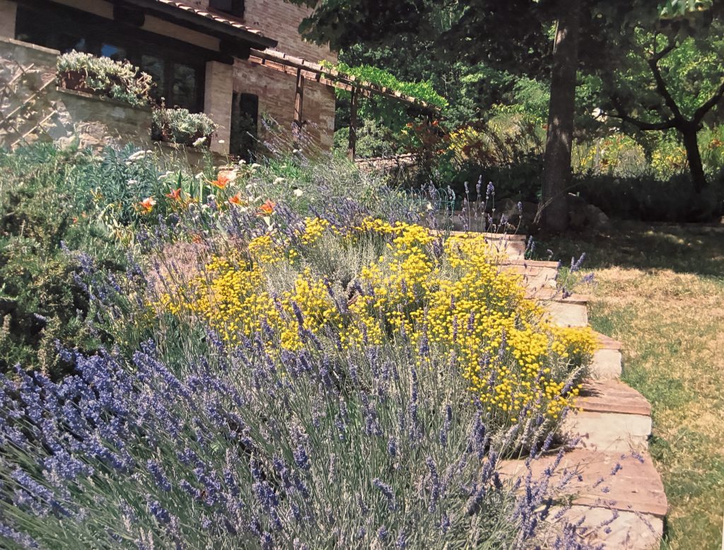 flower bed