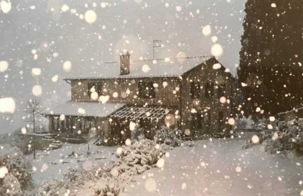 house in the snow